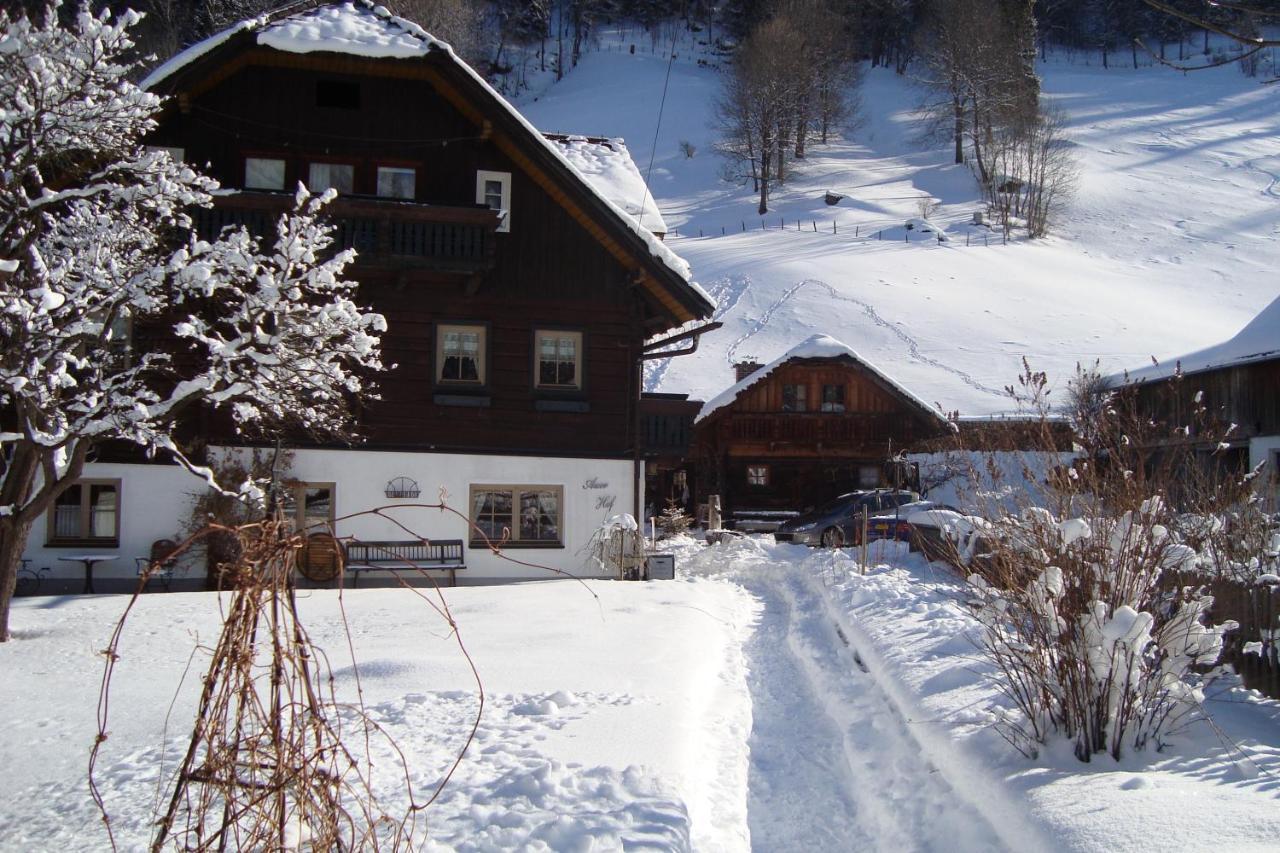 Auerhof Βίλα Schladming Εξωτερικό φωτογραφία