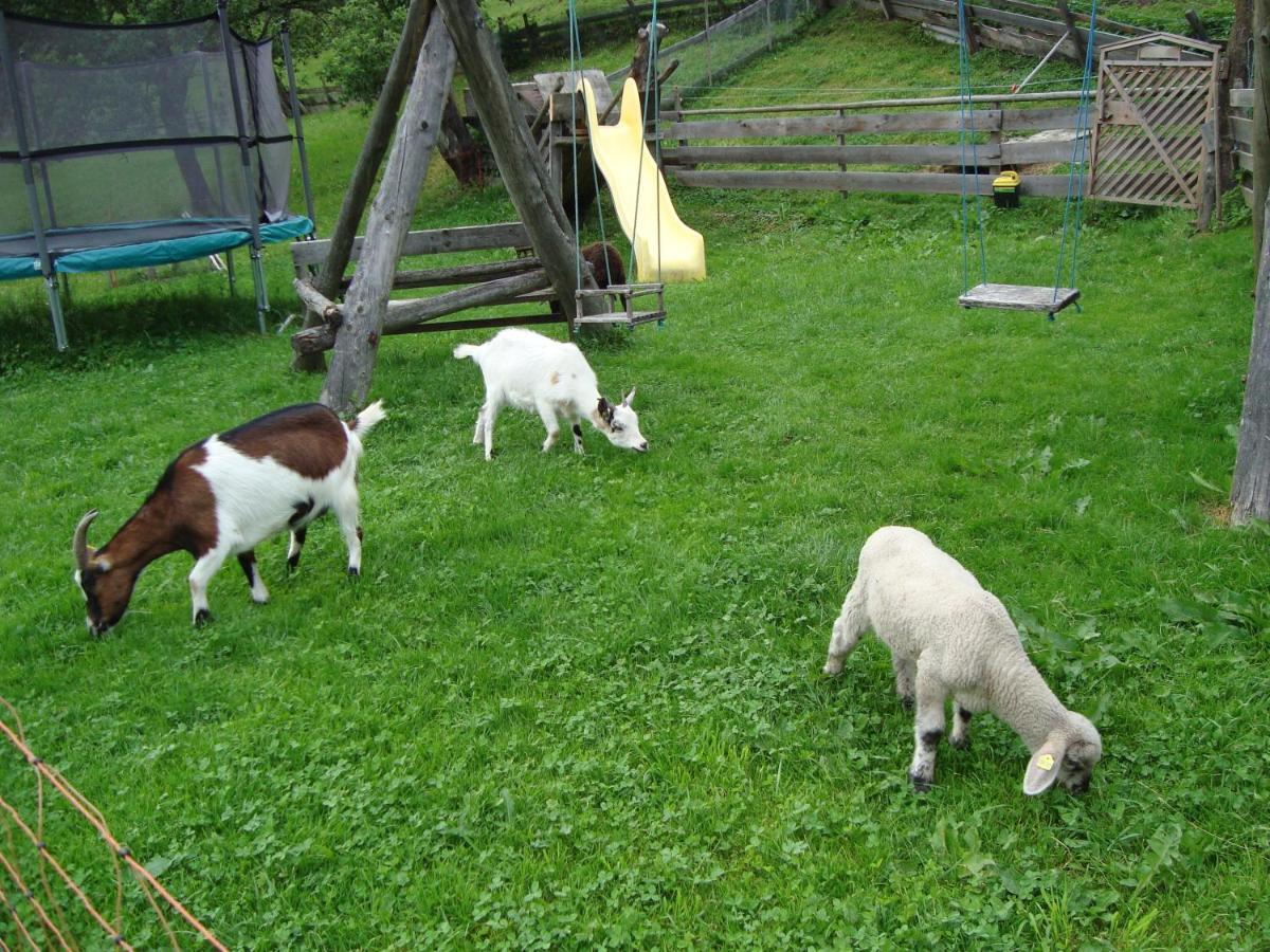 Auerhof Βίλα Schladming Εξωτερικό φωτογραφία
