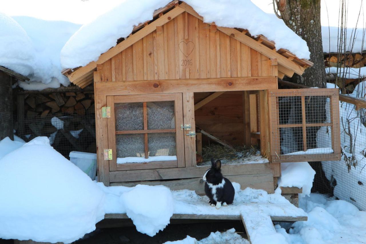 Auerhof Βίλα Schladming Εξωτερικό φωτογραφία