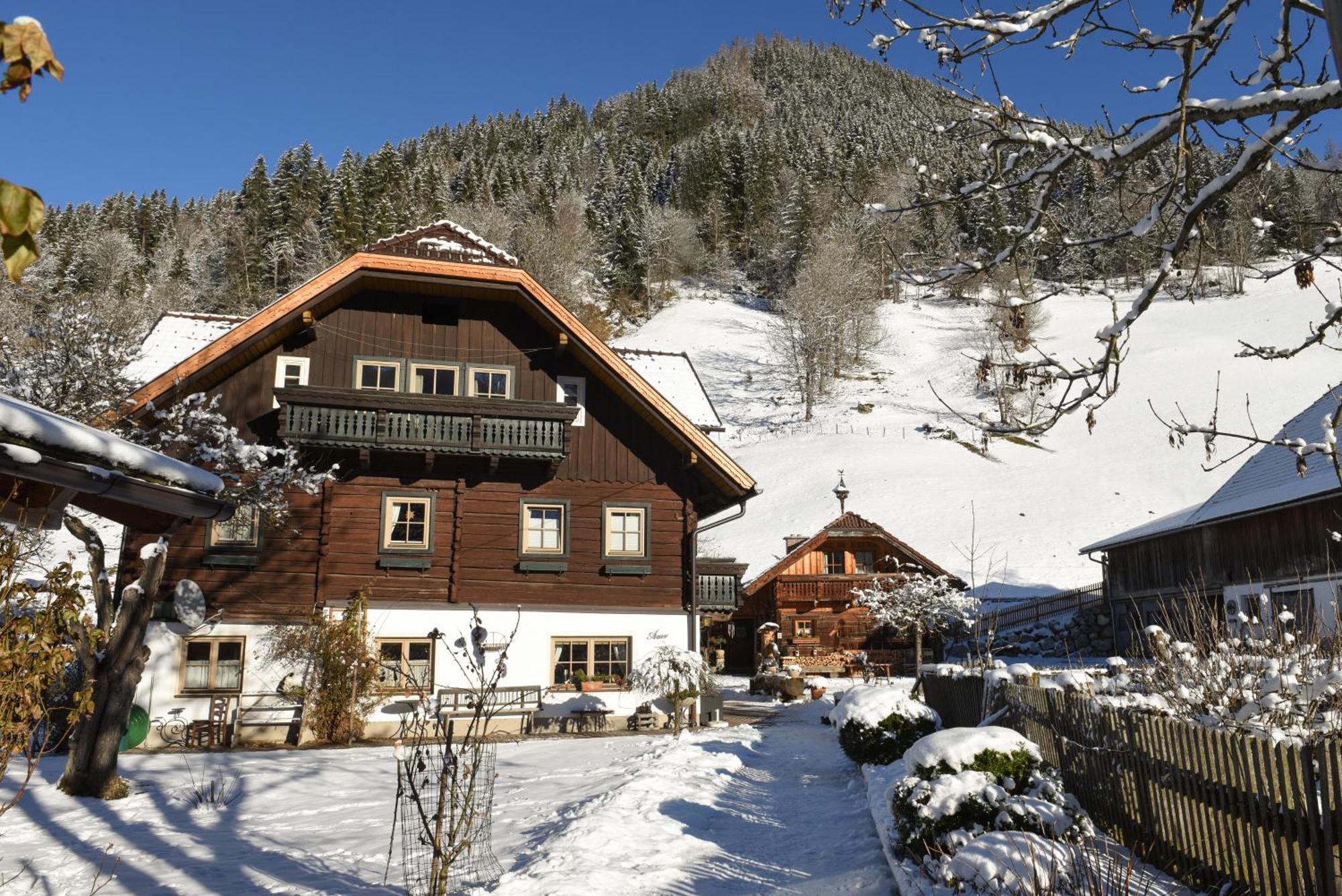 Auerhof Βίλα Schladming Εξωτερικό φωτογραφία