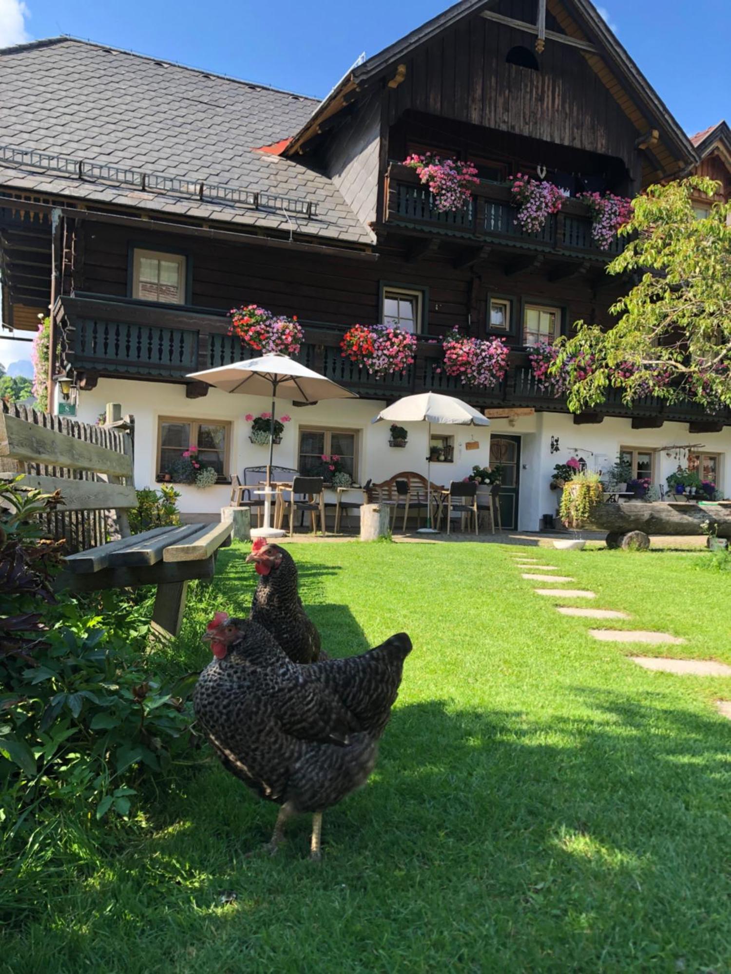 Auerhof Βίλα Schladming Εξωτερικό φωτογραφία